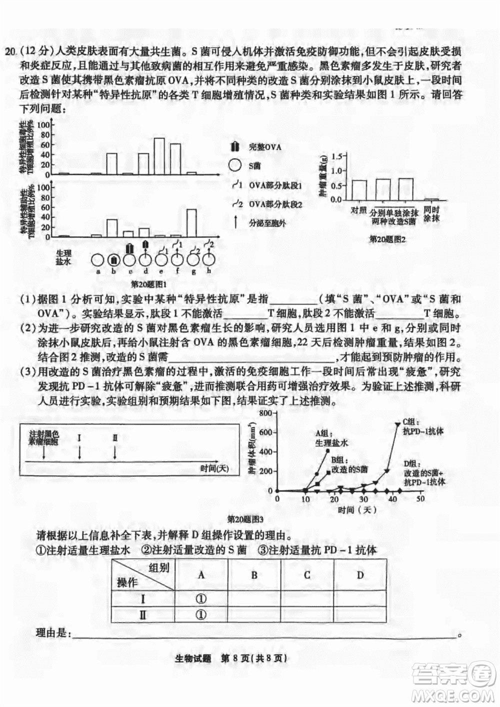 重慶市高2024屆高三上學(xué)期第五次質(zhì)量檢測生物試題參考答案