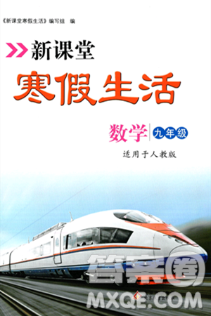 北京教育出版社2024新課堂寒假生活九年級數(shù)學(xué)人教版答案