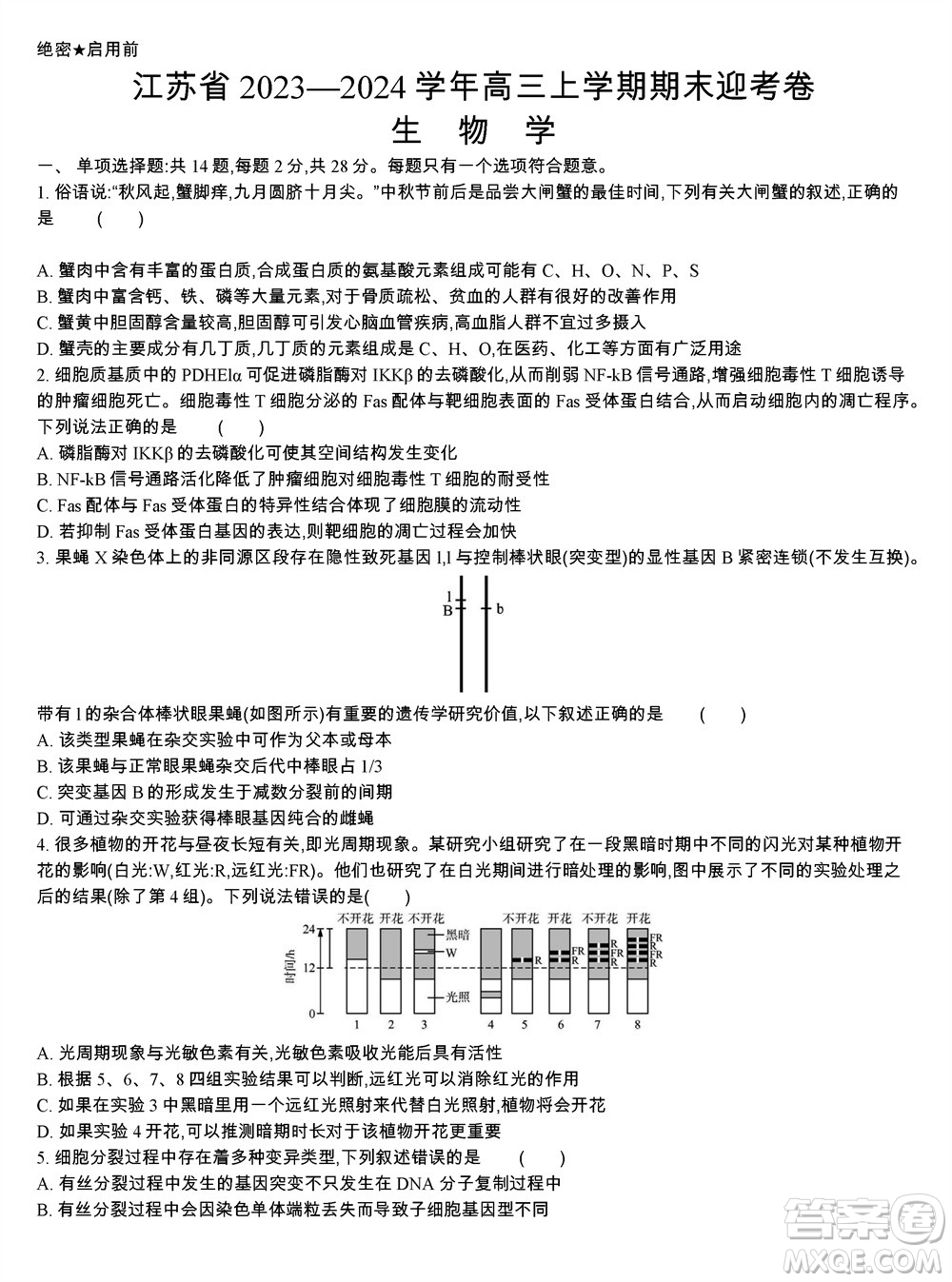 江蘇省2023-2024學(xué)年高三上學(xué)期期末迎考卷生物參考答案