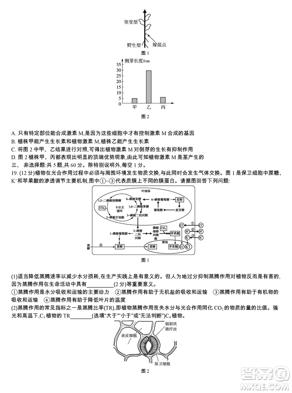 江蘇省2023-2024學(xué)年高三上學(xué)期期末迎考卷生物參考答案