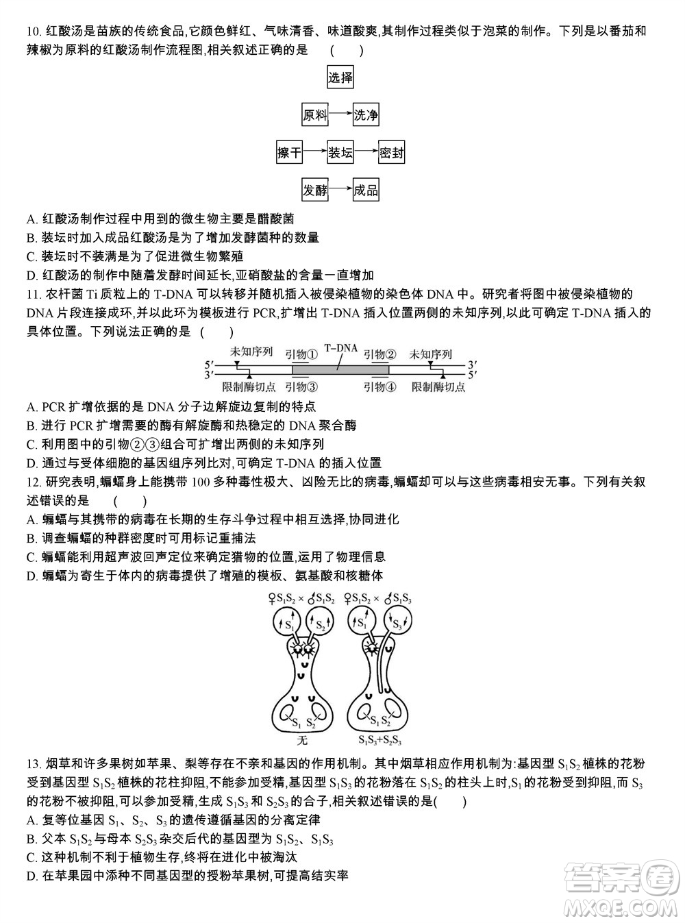 江蘇省2023-2024學(xué)年高三上學(xué)期期末迎考卷生物參考答案