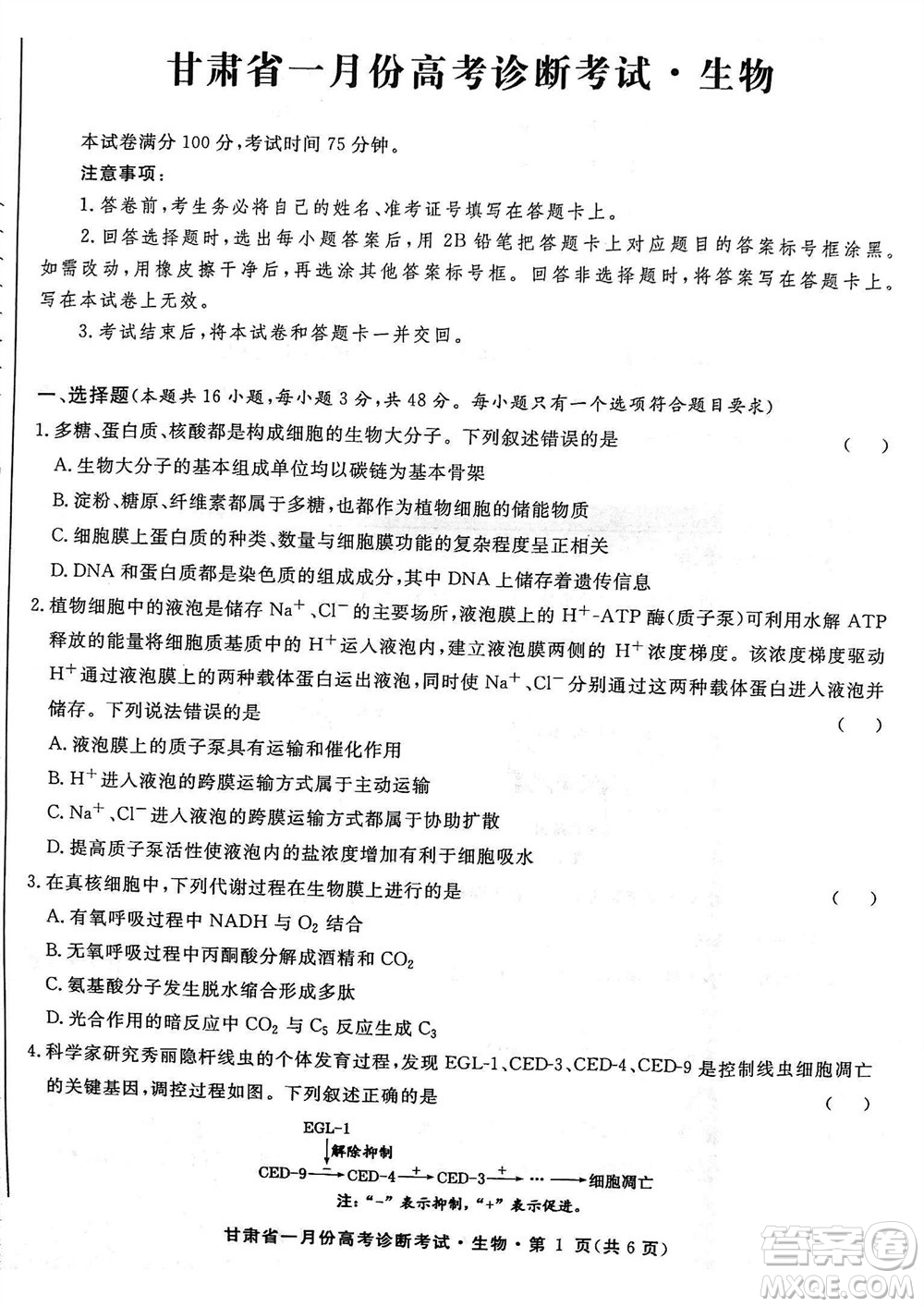 甘肅省2024屆高三上學(xué)期1月高考診斷考試生物參考答案