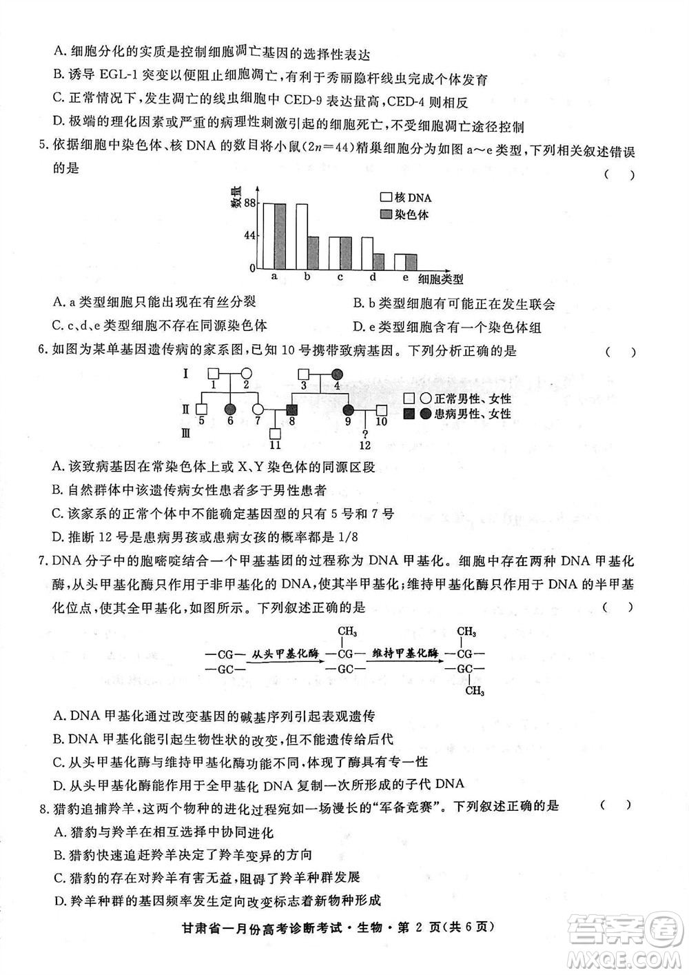 甘肅省2024屆高三上學(xué)期1月高考診斷考試生物參考答案