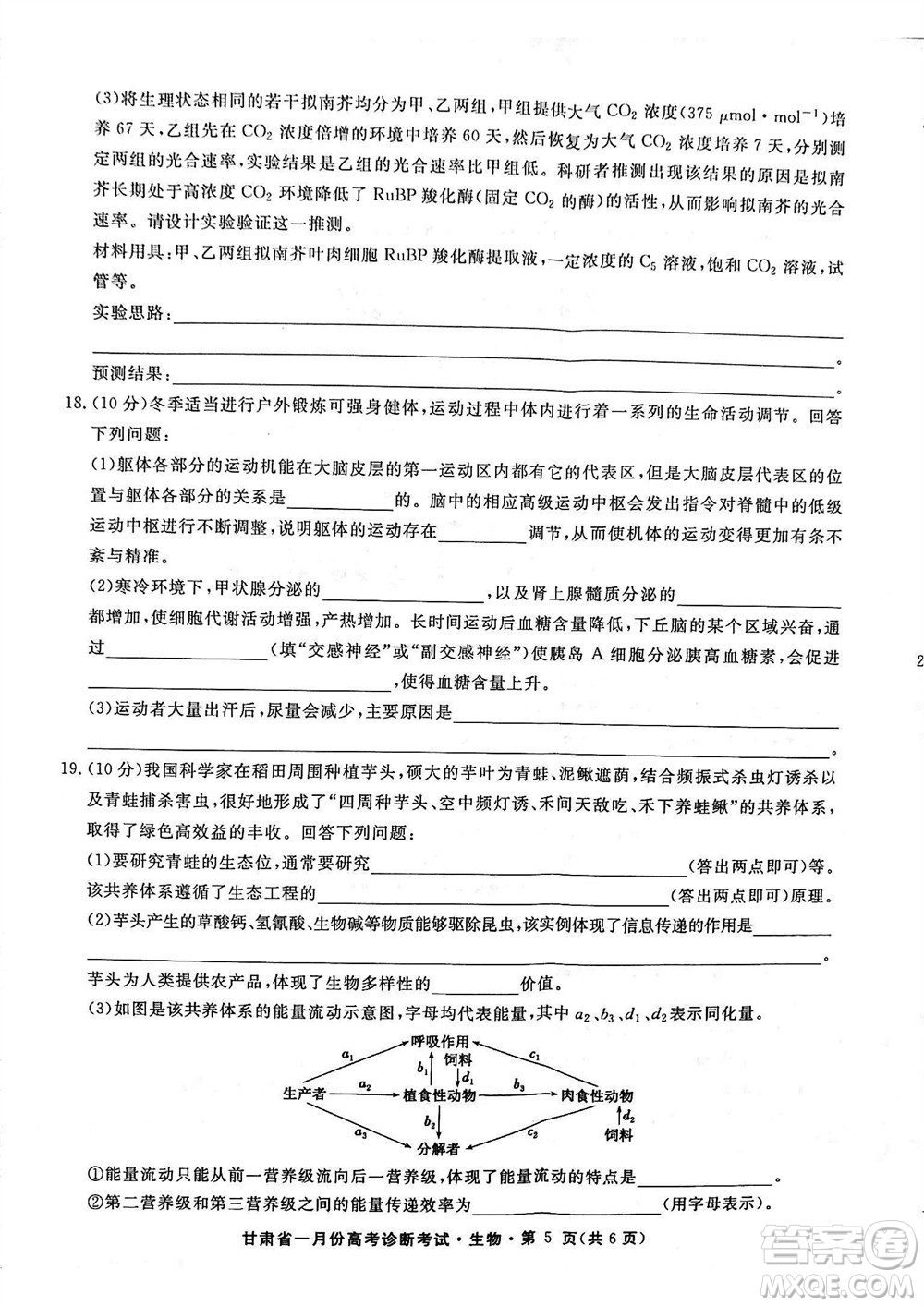 甘肅省2024屆高三上學(xué)期1月高考診斷考試生物參考答案