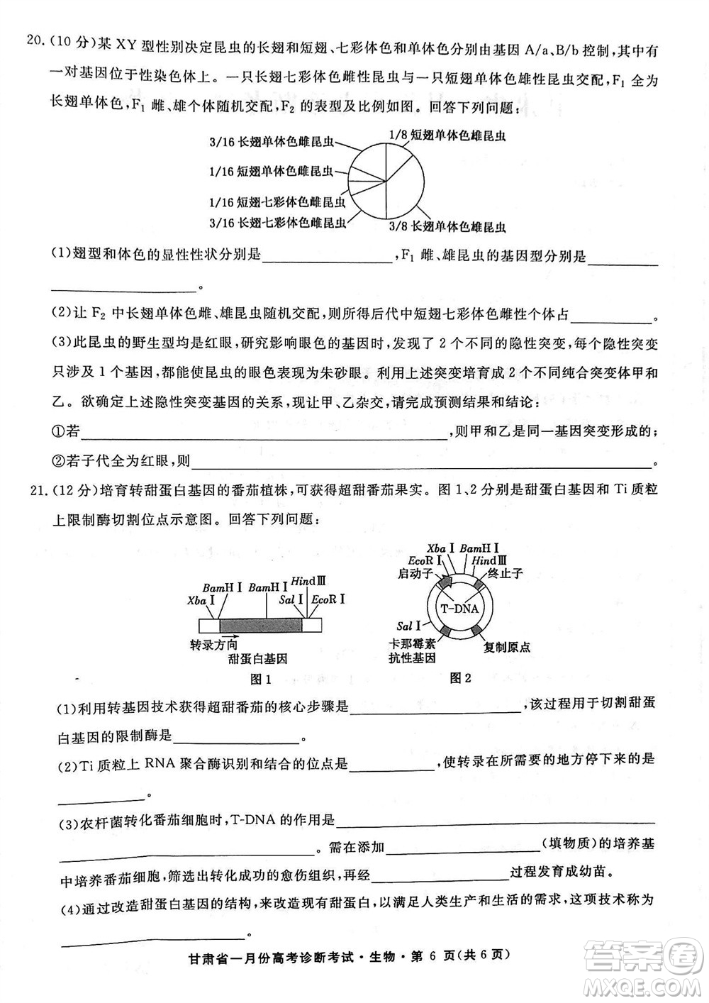 甘肅省2024屆高三上學(xué)期1月高考診斷考試生物參考答案