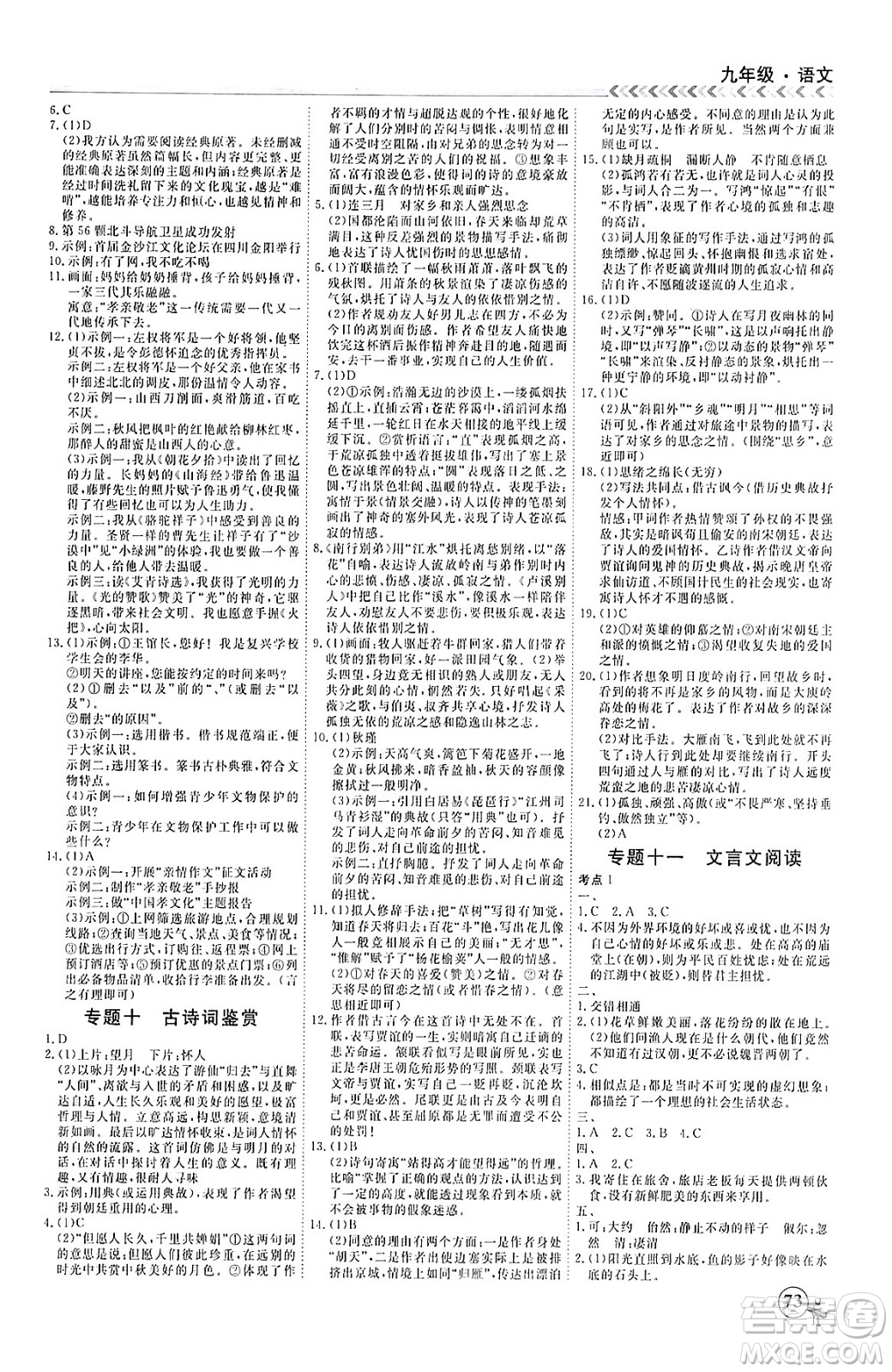 四川大學(xué)出版社2024假期沖冠學(xué)期系統(tǒng)總復(fù)習(xí)假期必備九年級(jí)語(yǔ)文通用版答案