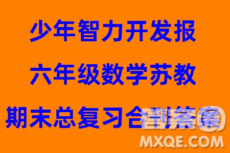 2023年秋少年智力開發(fā)報(bào)六年級數(shù)學(xué)上冊蘇教版期末總復(fù)習(xí)合刊參考答案