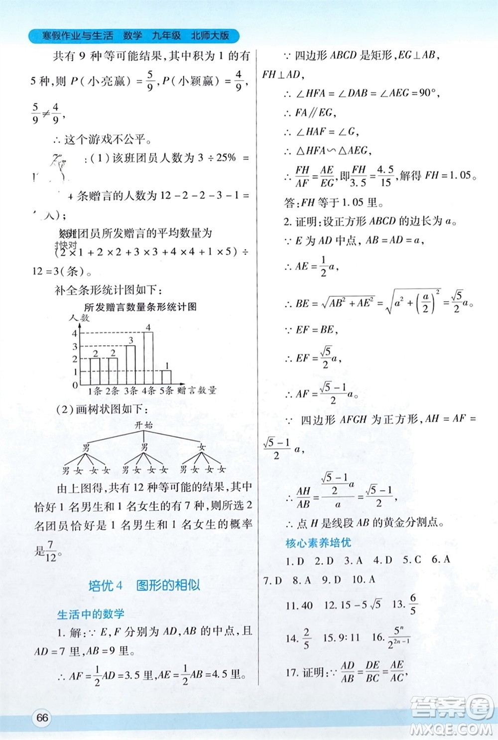 陜西師范大學(xué)出版總社有限公司2024寒假作業(yè)與生活九年級(jí)數(shù)學(xué)北師大版參考答案