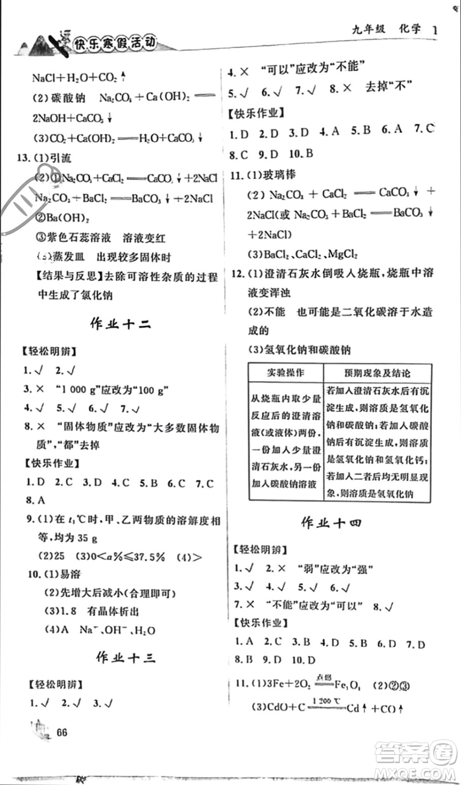 內(nèi)蒙古人民出版社2024快樂寒假活動九年級化學(xué)通用版參考答案