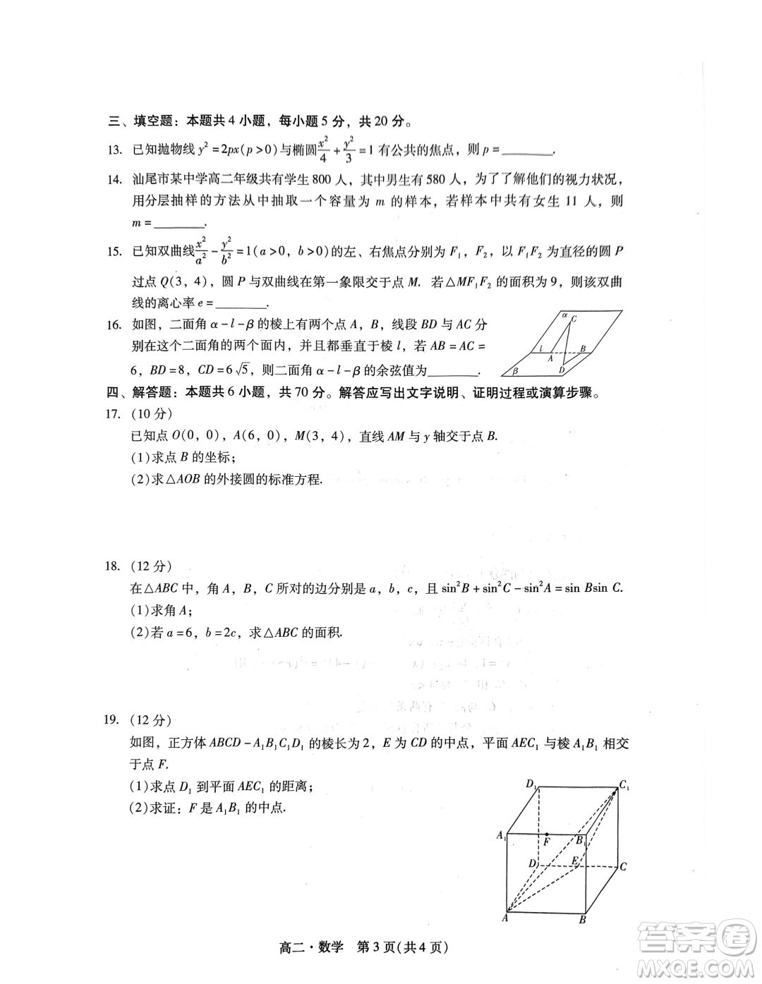 廣東汕尾2023-2024學(xué)年高二上學(xué)期1月期末數(shù)學(xué)試題答案