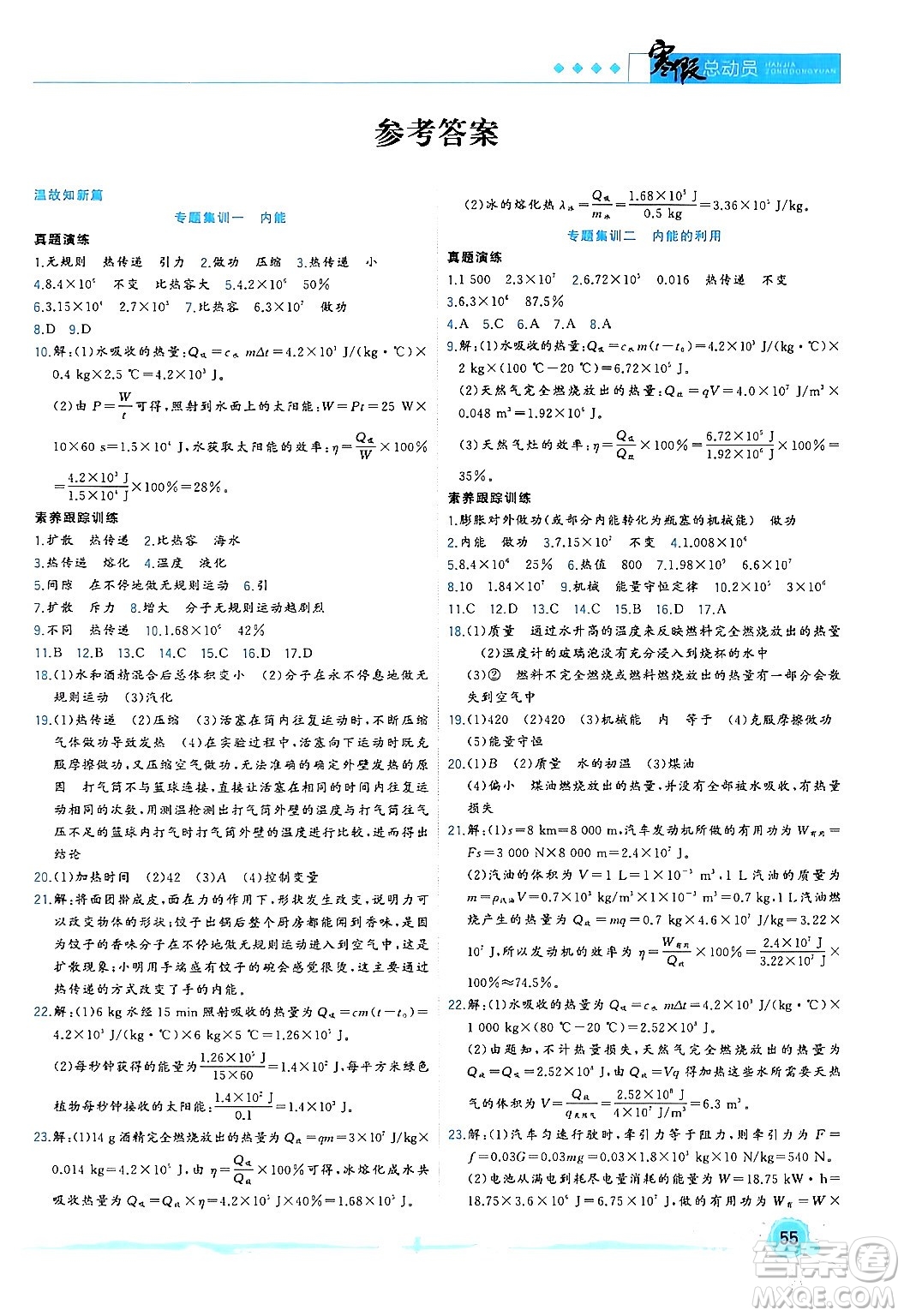 合肥工業(yè)大學(xué)出版社2024寒假總動(dòng)員九年級(jí)物理人教版答案