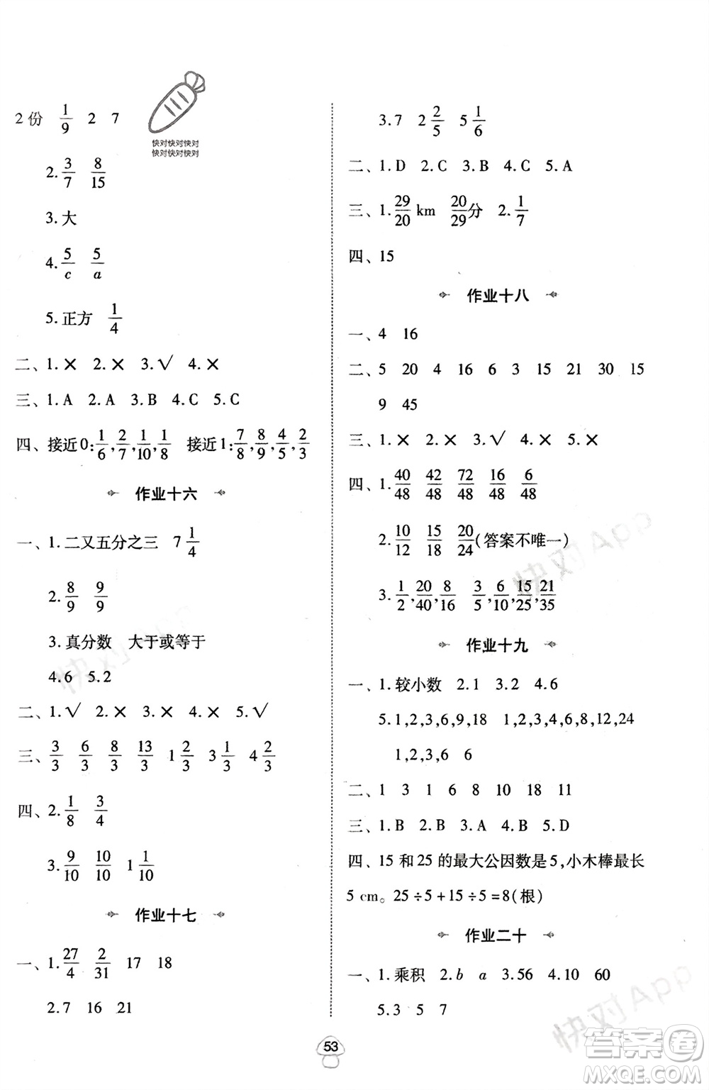 陜西人民教育出版社2024陜教出品寒假作業(yè)五年級(jí)數(shù)學(xué)北師大版參考答案