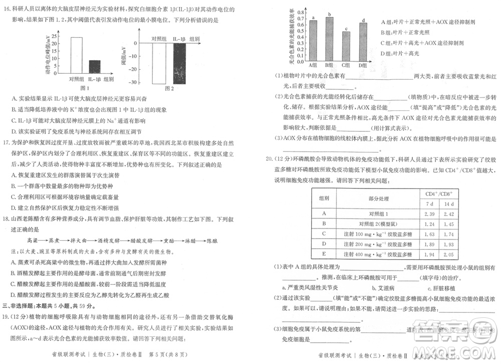 石家莊市2024屆高三上學(xué)期1月份省級(jí)聯(lián)測考試生物參考答案