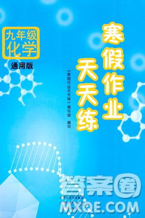 文心出版社2024年寒假作業(yè)天天練九年級化學(xué)通用版答案