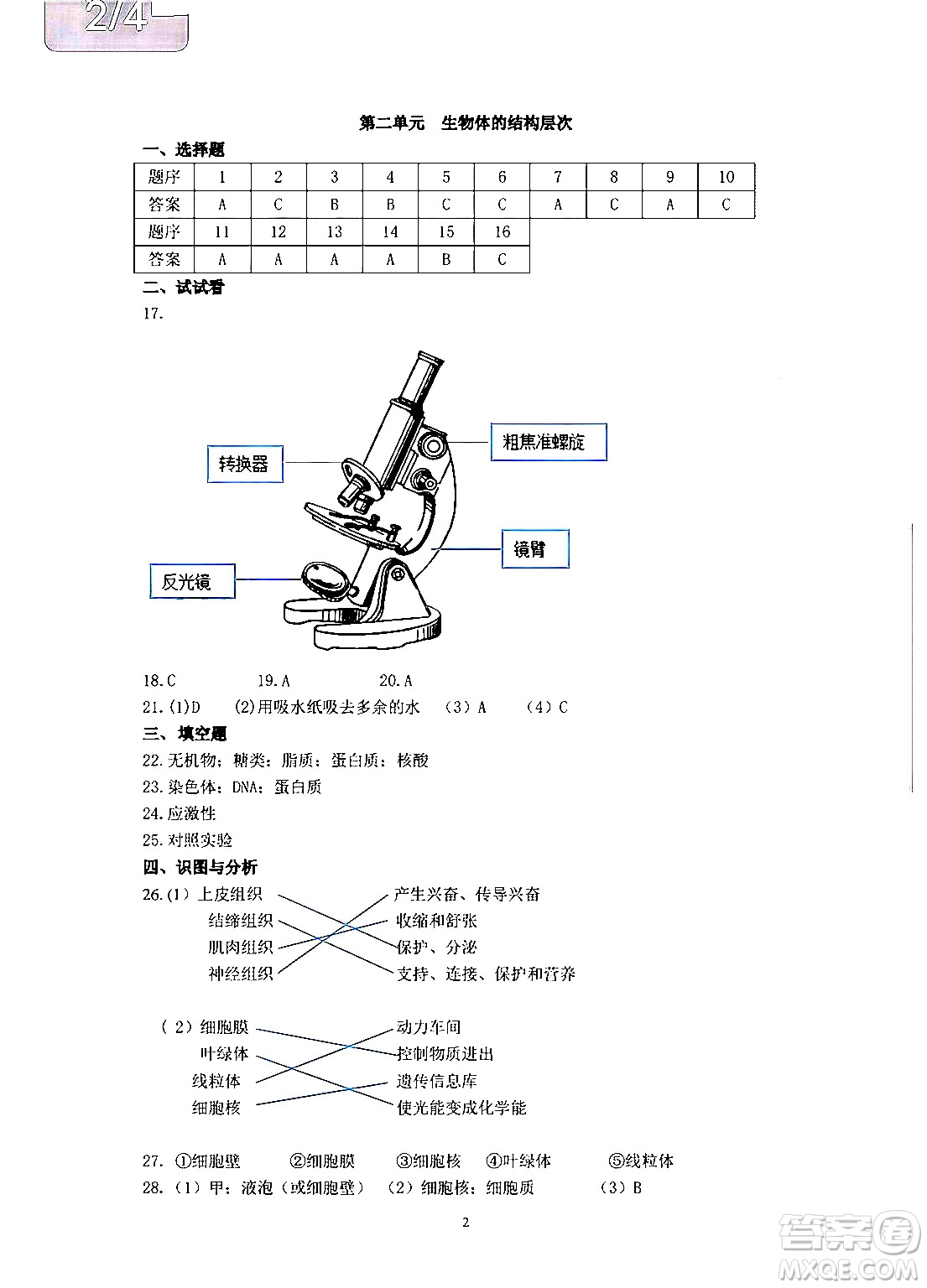 中西書(shū)局2024精彩假期寒假作業(yè)七年級(jí)合訂本通用版答案