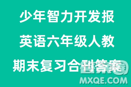 2023年秋少年智力開發(fā)報六年級英語上冊人教版期末總復習合刊參考答案