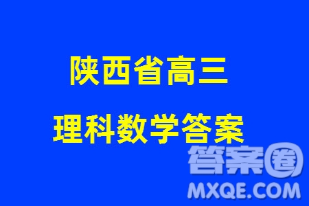 陜西省2024屆高三上學(xué)期1月份教學(xué)質(zhì)量檢測試題一理科數(shù)學(xué)參考答案