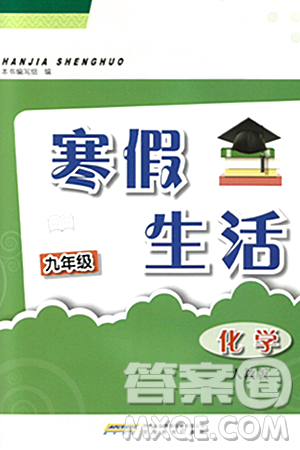 安徽教育出版社2024寒假生活九年級化學人教版答案