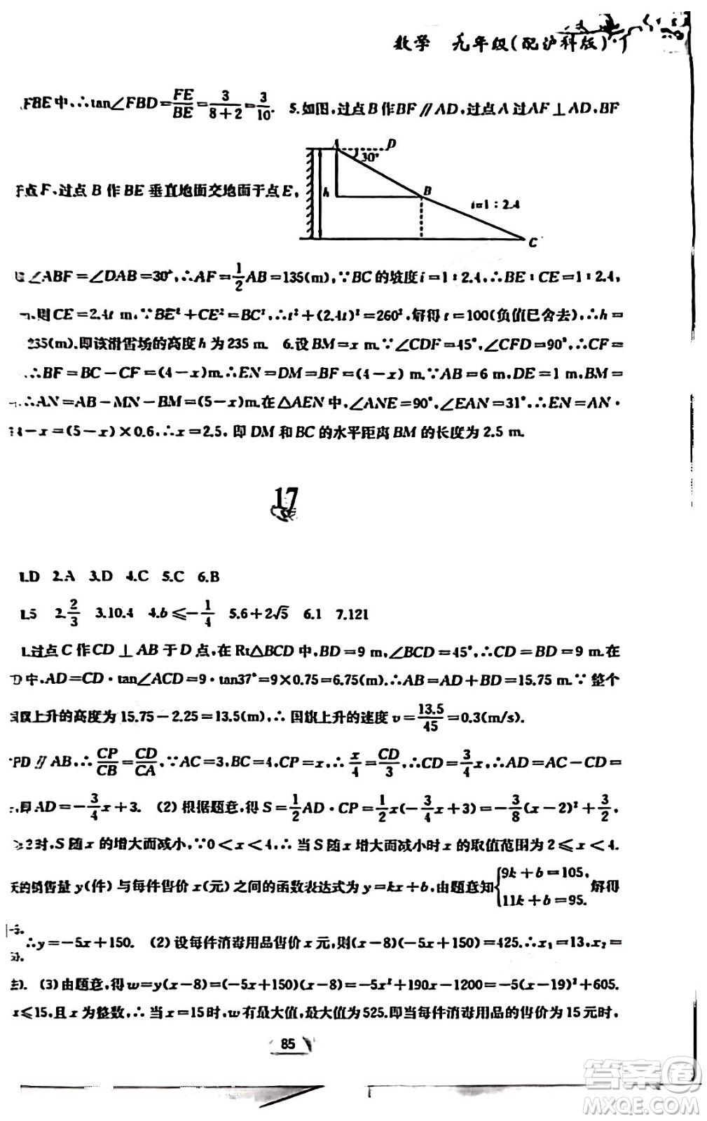 黃山書社2024寒假作業(yè)九年級數(shù)學(xué)滬科版答案