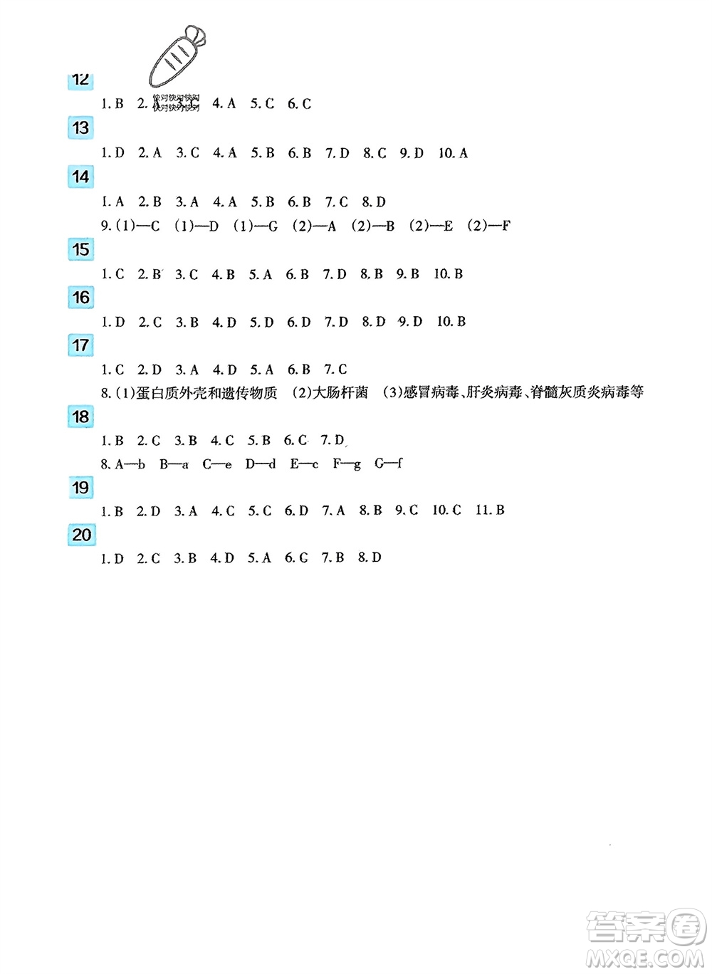 新疆文化出版社2024寒假作業(yè)及活動八年級歷地生合訂本通用版參考答案