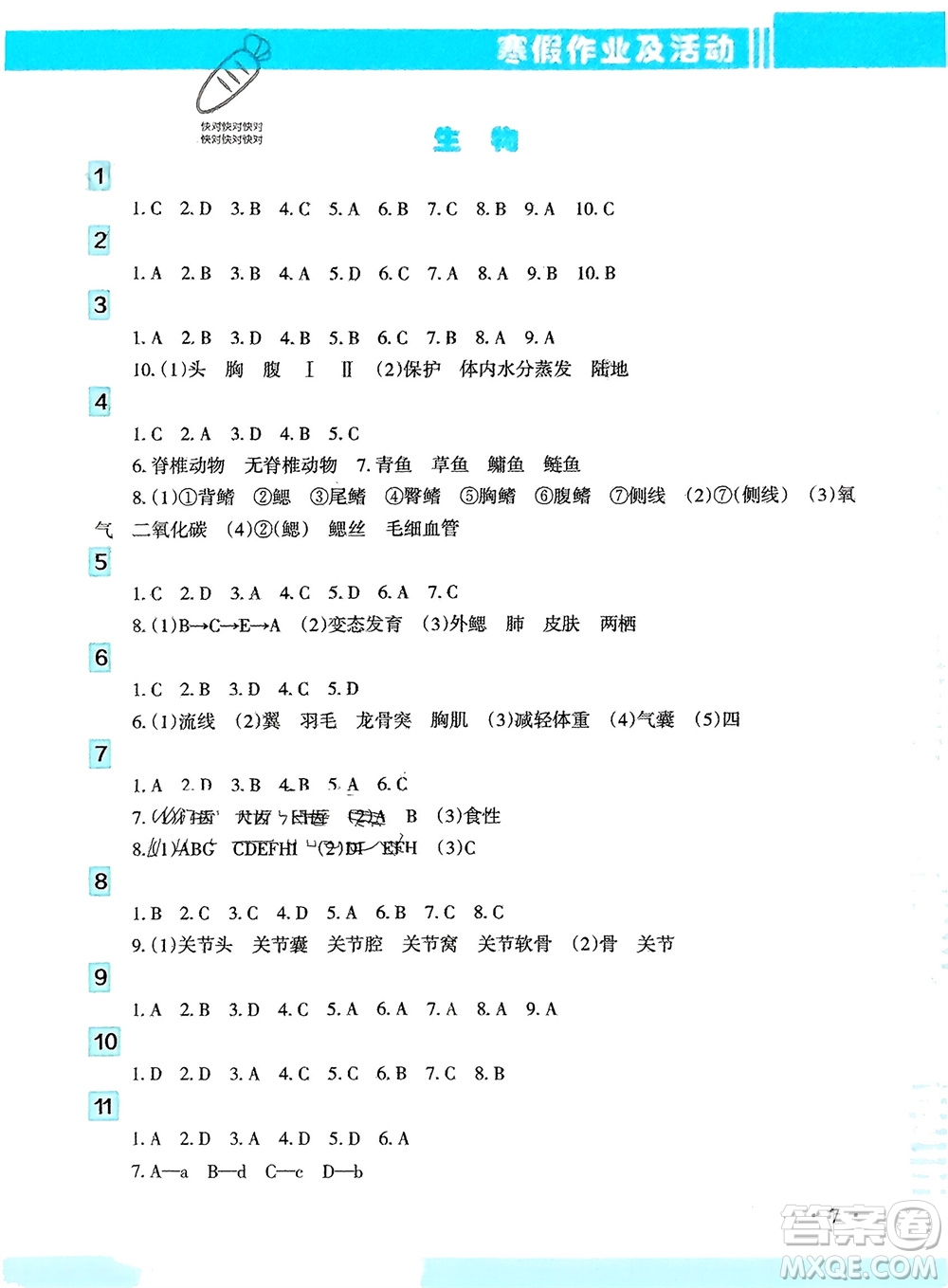 新疆文化出版社2024寒假作業(yè)及活動八年級歷地生合訂本通用版參考答案