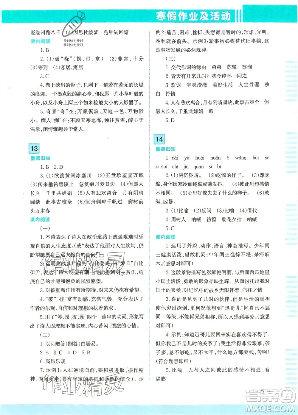 新疆文化出版社2024寒假作業(yè)及活動九年級語文通用版參考答案