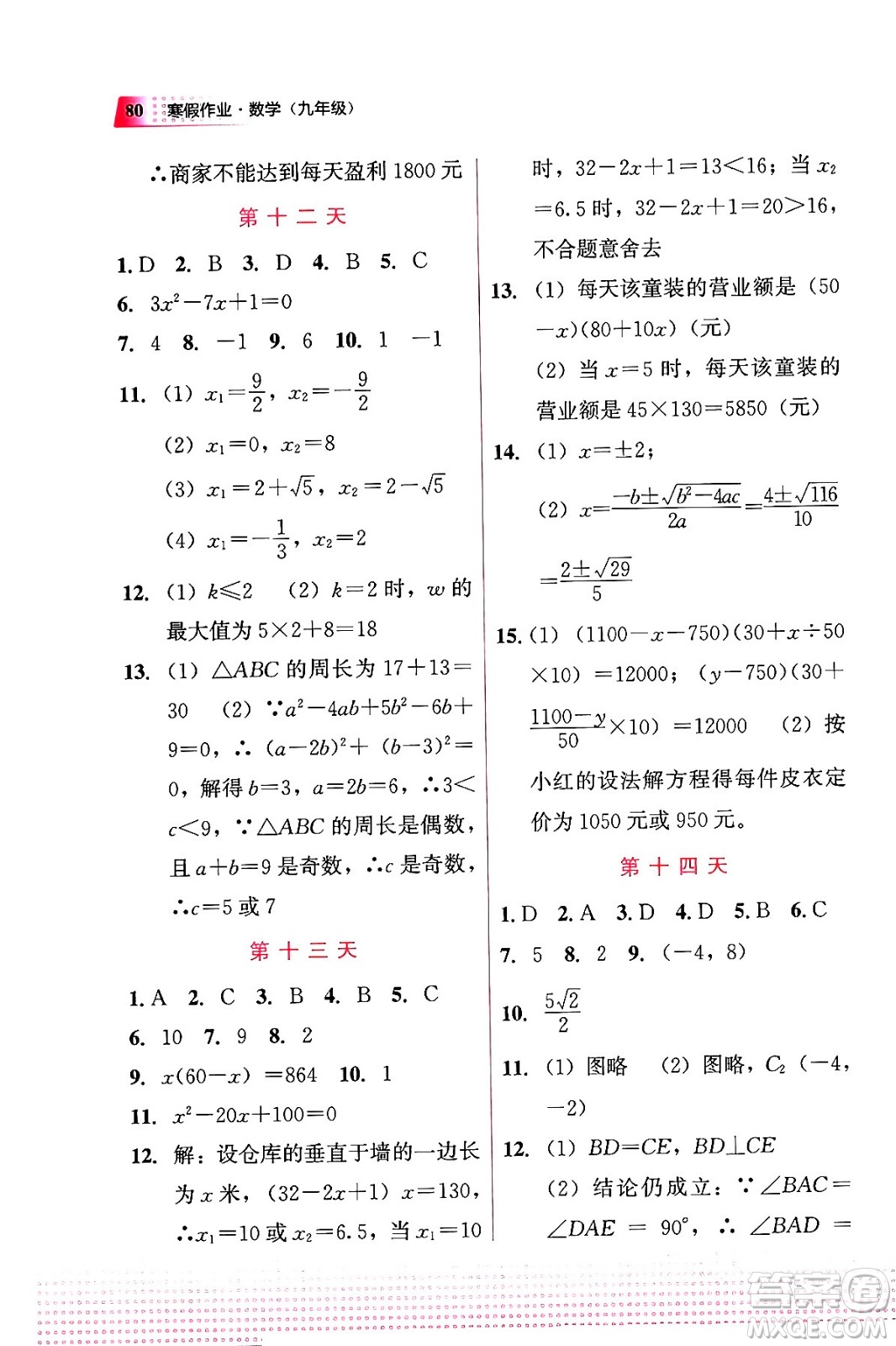 教育科學(xué)出版社2024寒假作業(yè)九年級數(shù)學(xué)通用版答案