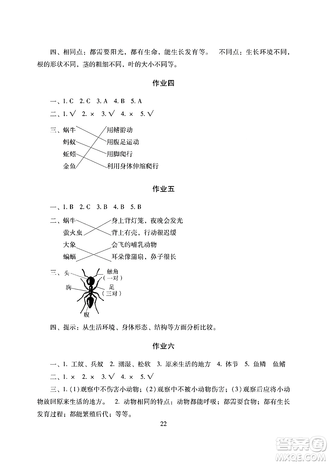 湖南少年兒童出版社2024寒假生活三年級合訂本課標(biāo)版答案