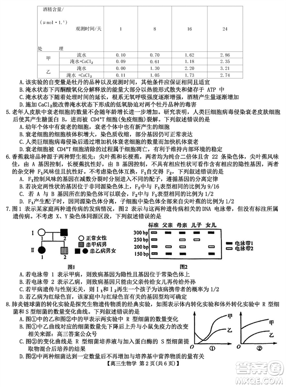 金科大聯(lián)考2024屆高三上學(xué)期1月質(zhì)量檢測(cè)生物參考答案