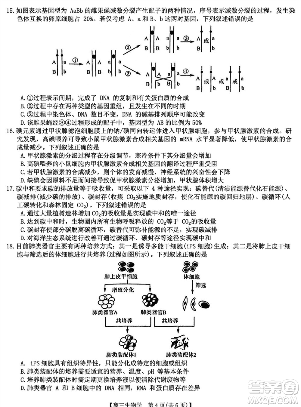 金科大聯(lián)考2024屆高三上學(xué)期1月質(zhì)量檢測(cè)生物參考答案