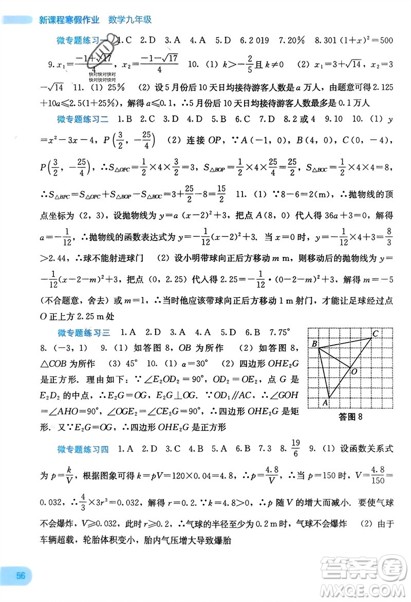 廣西教育出版社2024新課程寒假作業(yè)九年級(jí)數(shù)學(xué)通用版參考答案