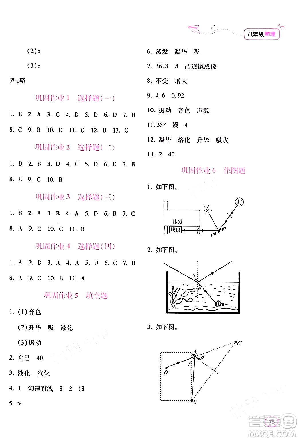 北京教育出版社2024新課標寒假樂園八年級物理課標版答案