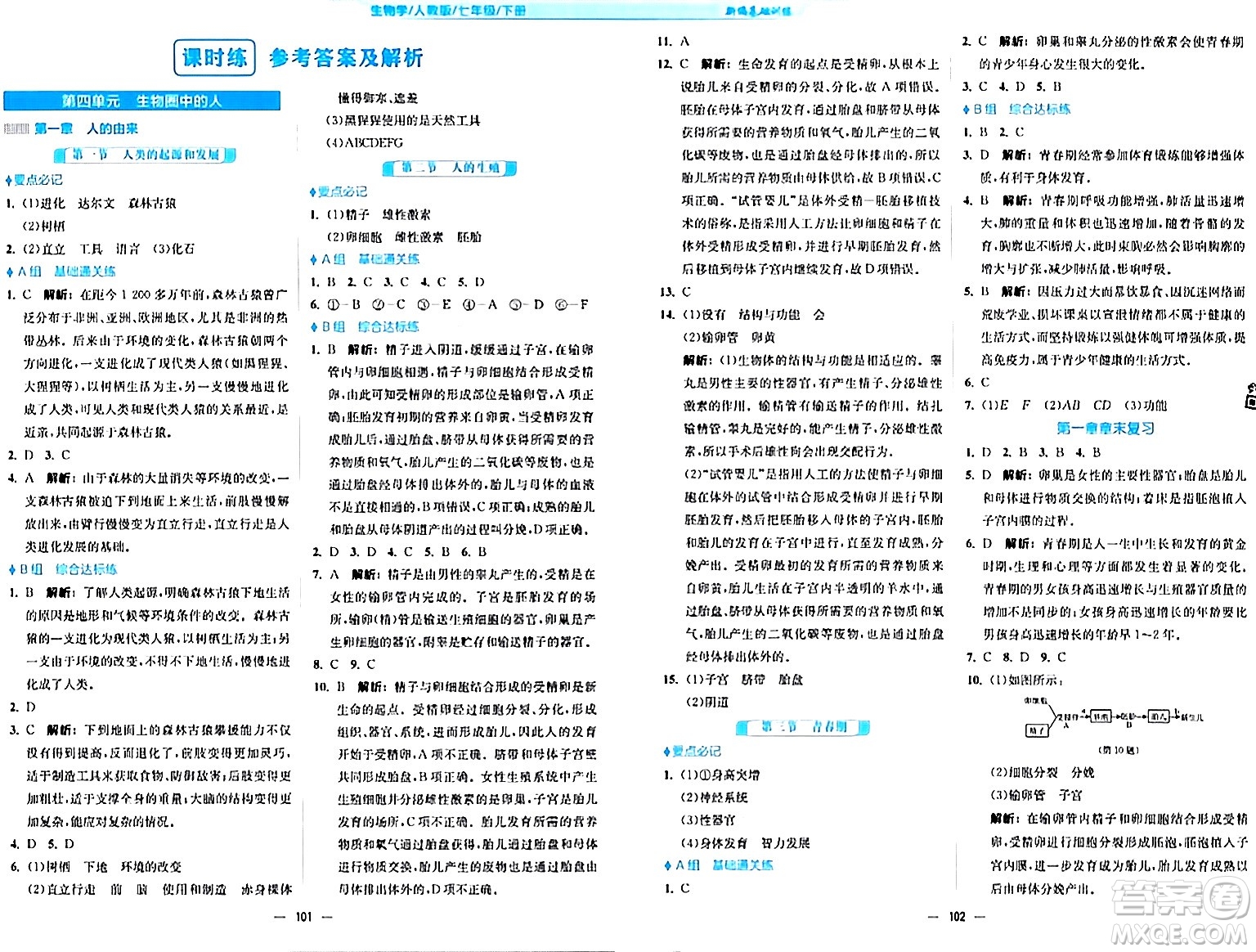 安徽教育出版社2024年春新編基礎訓練七年級生物下冊人教版安徽專版答案