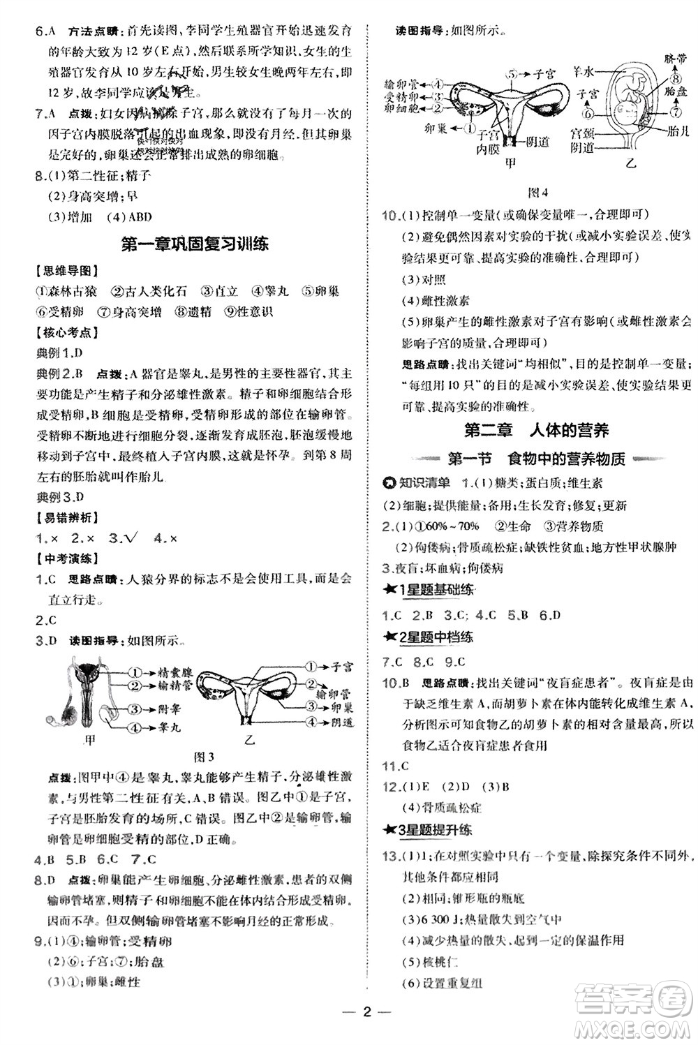 吉林教育出版社2024年春榮德基點撥訓練七年級生物下冊人教版參考答案