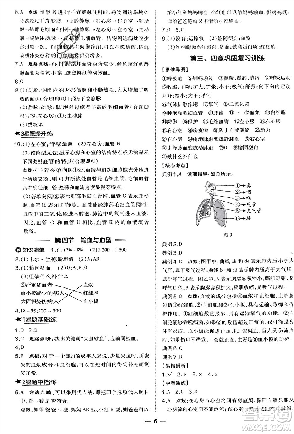 吉林教育出版社2024年春榮德基點撥訓練七年級生物下冊人教版參考答案