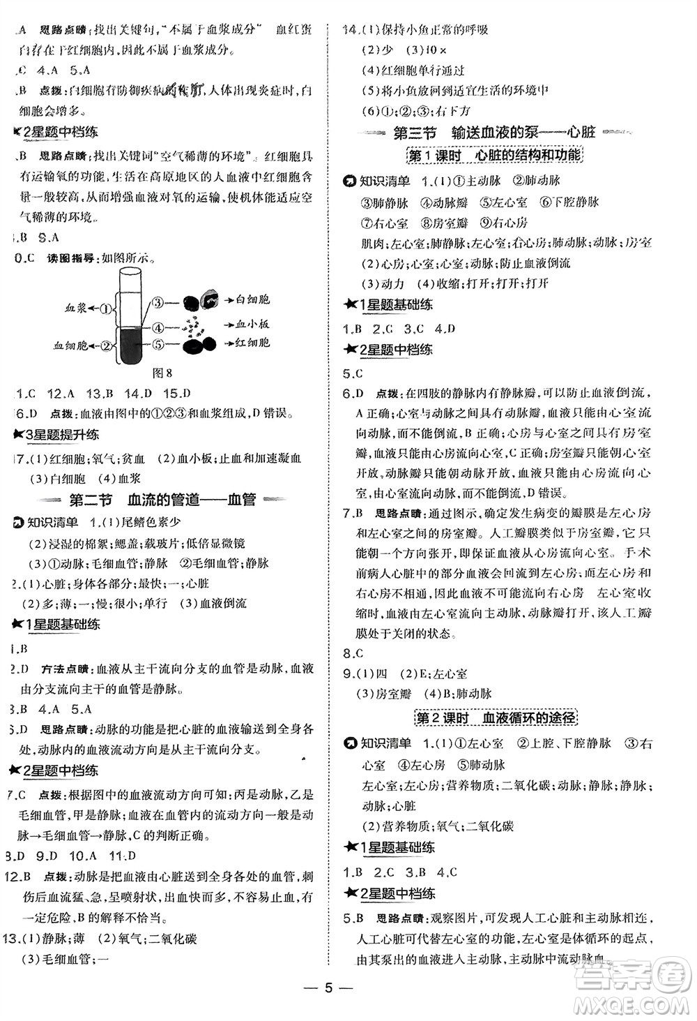 吉林教育出版社2024年春榮德基點撥訓練七年級生物下冊人教版參考答案