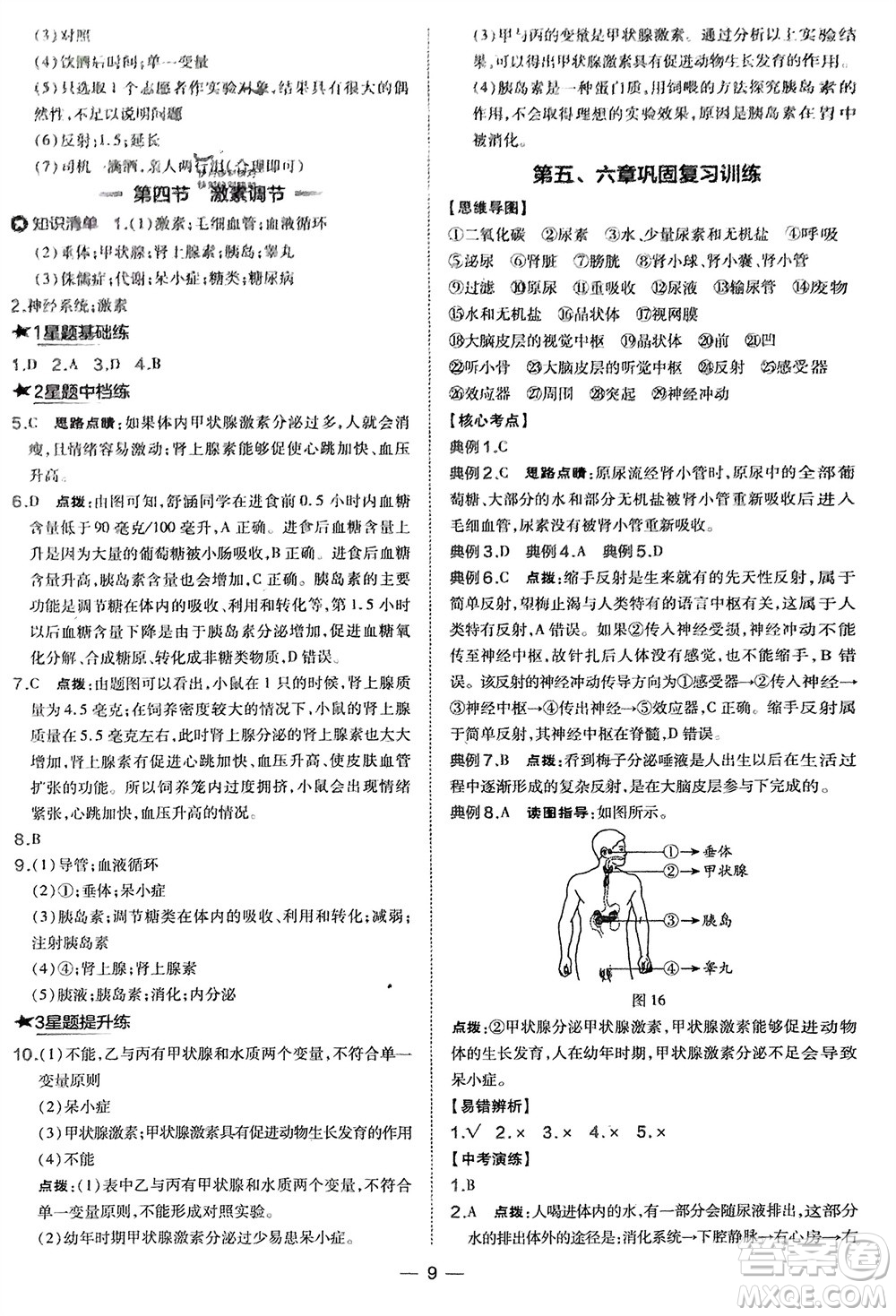 吉林教育出版社2024年春榮德基點撥訓練七年級生物下冊人教版參考答案