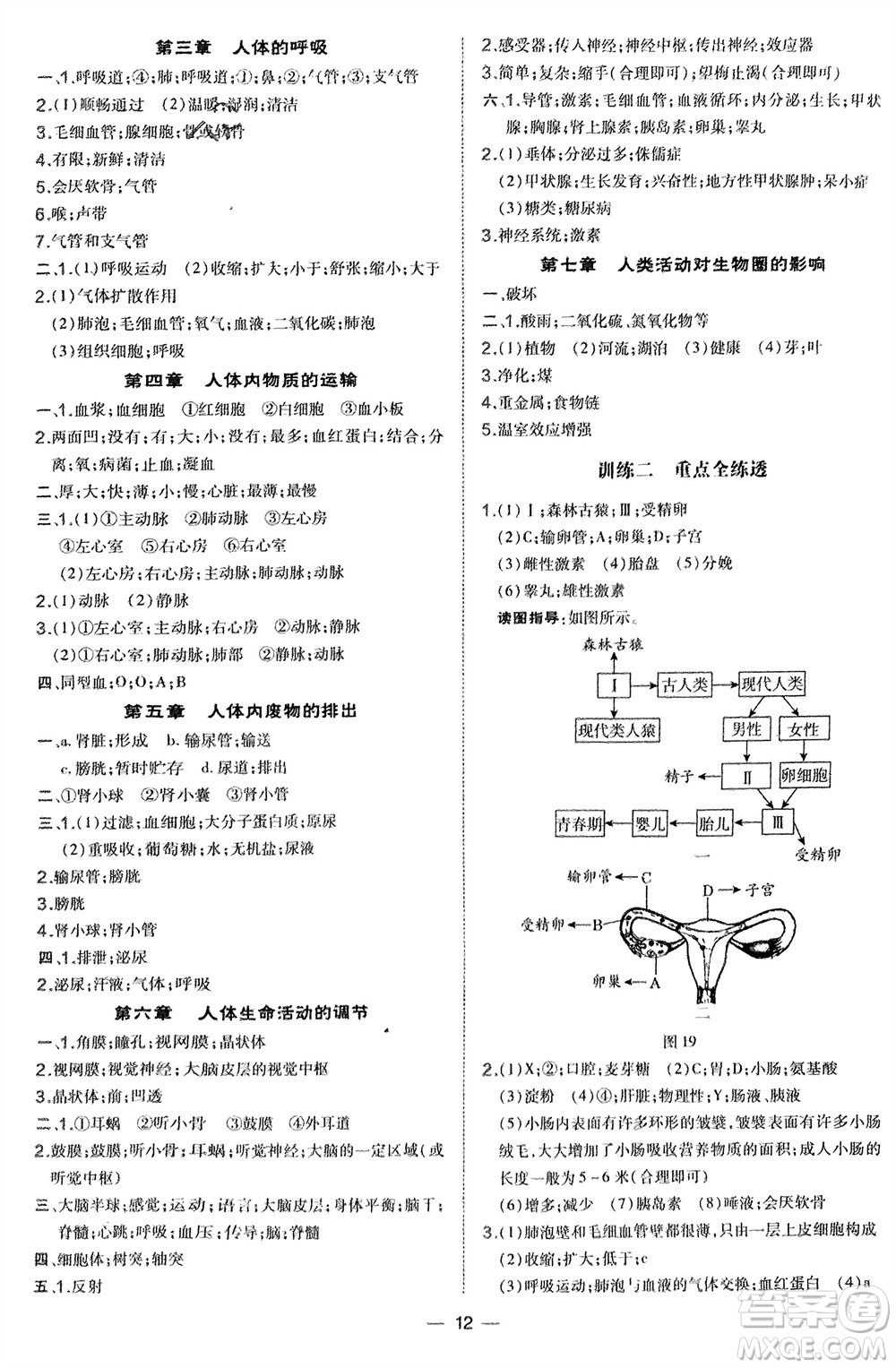 吉林教育出版社2024年春榮德基點撥訓練七年級生物下冊人教版參考答案