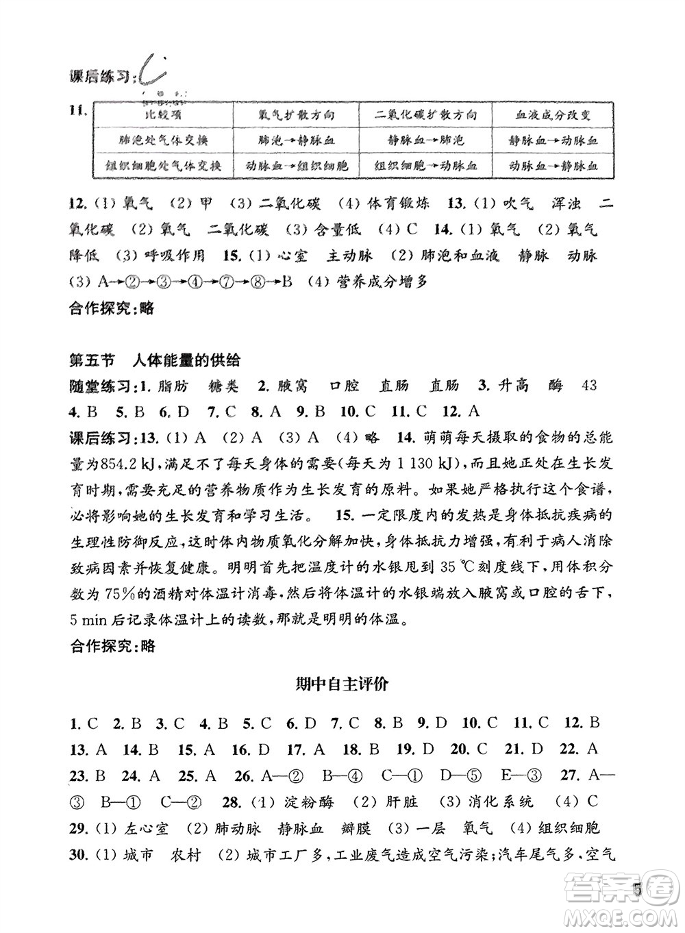 江蘇鳳凰教育出版社2024年春配套綜合練習七年級生物下冊蘇教版參考答案