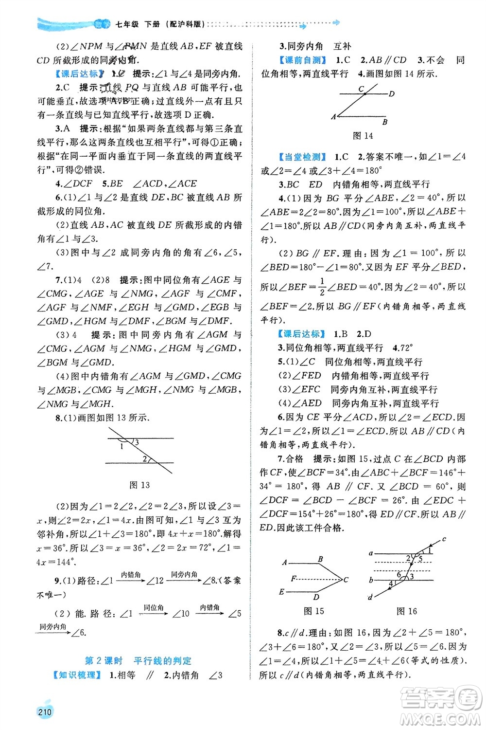 廣西師范大學(xué)出版社2024年春新課程學(xué)習(xí)與測評同步學(xué)習(xí)七年級數(shù)學(xué)下冊滬科版參考答案