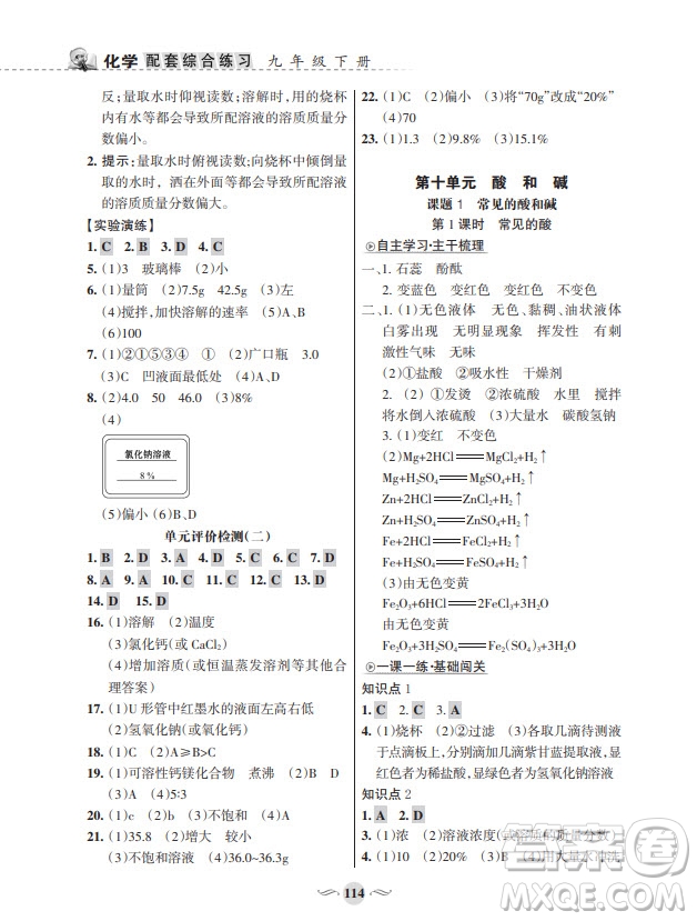 甘肅文化出版社2024年春配套綜合練習九年級化學下冊人教版參考答案