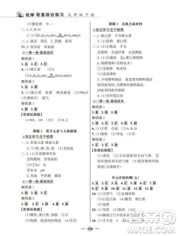 甘肅文化出版社2024年春配套綜合練習九年級化學下冊人教版參考答案