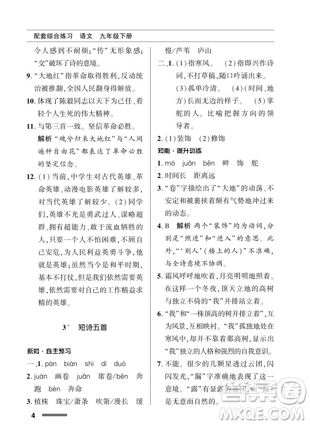 北京師范大學出版社2024年春配套綜合練習九年級語文下冊人教版參考答案