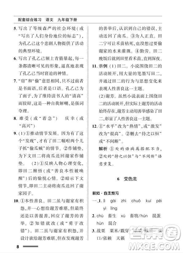 北京師范大學出版社2024年春配套綜合練習九年級語文下冊人教版參考答案