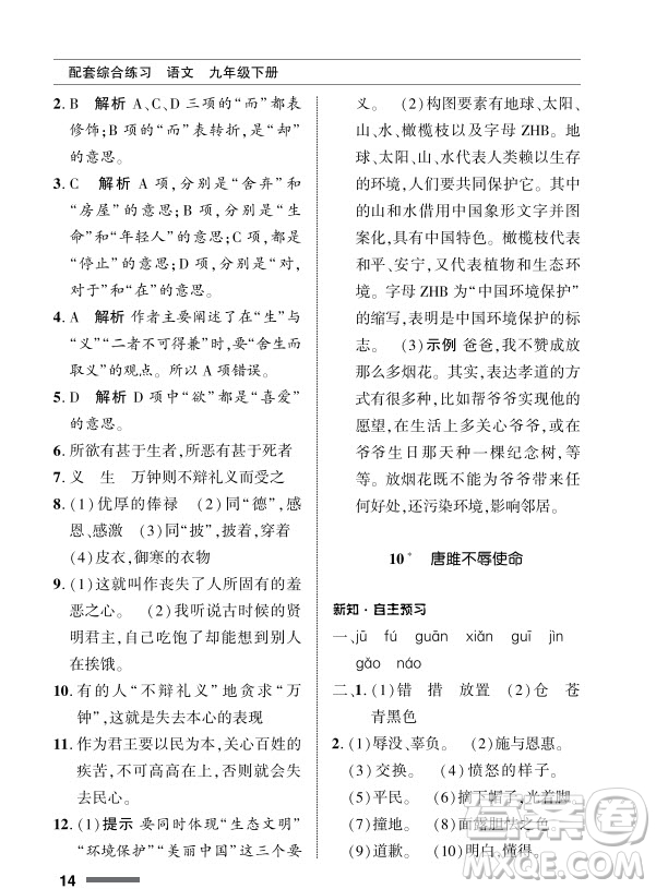 北京師范大學出版社2024年春配套綜合練習九年級語文下冊人教版參考答案