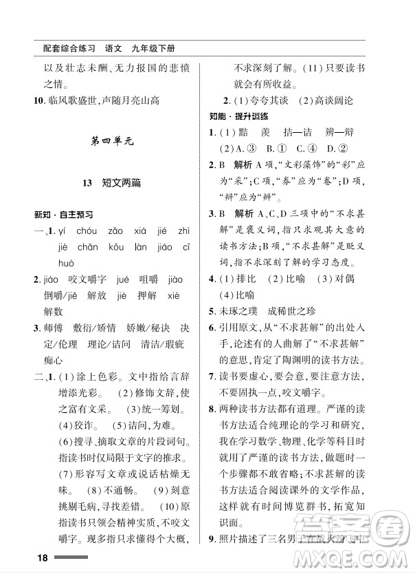 北京師范大學出版社2024年春配套綜合練習九年級語文下冊人教版參考答案