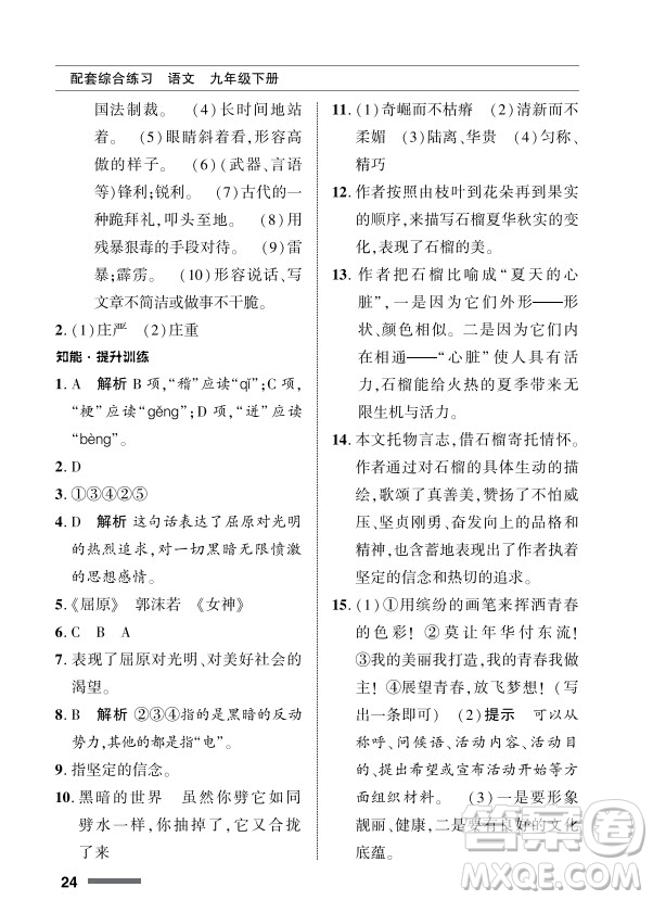 北京師范大學出版社2024年春配套綜合練習九年級語文下冊人教版參考答案