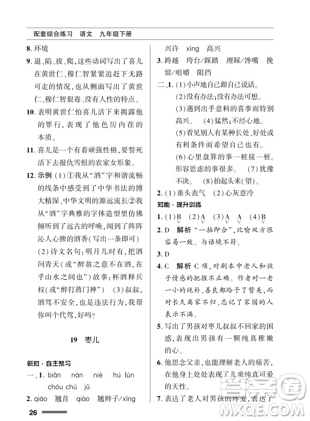 北京師范大學出版社2024年春配套綜合練習九年級語文下冊人教版參考答案