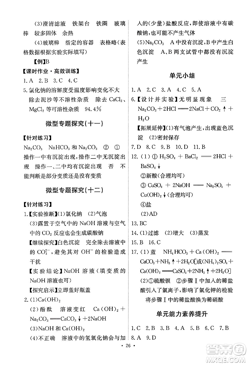 人民教育出版社2024年春能力培養(yǎng)與測(cè)試九年級(jí)化學(xué)下冊(cè)人教版答案