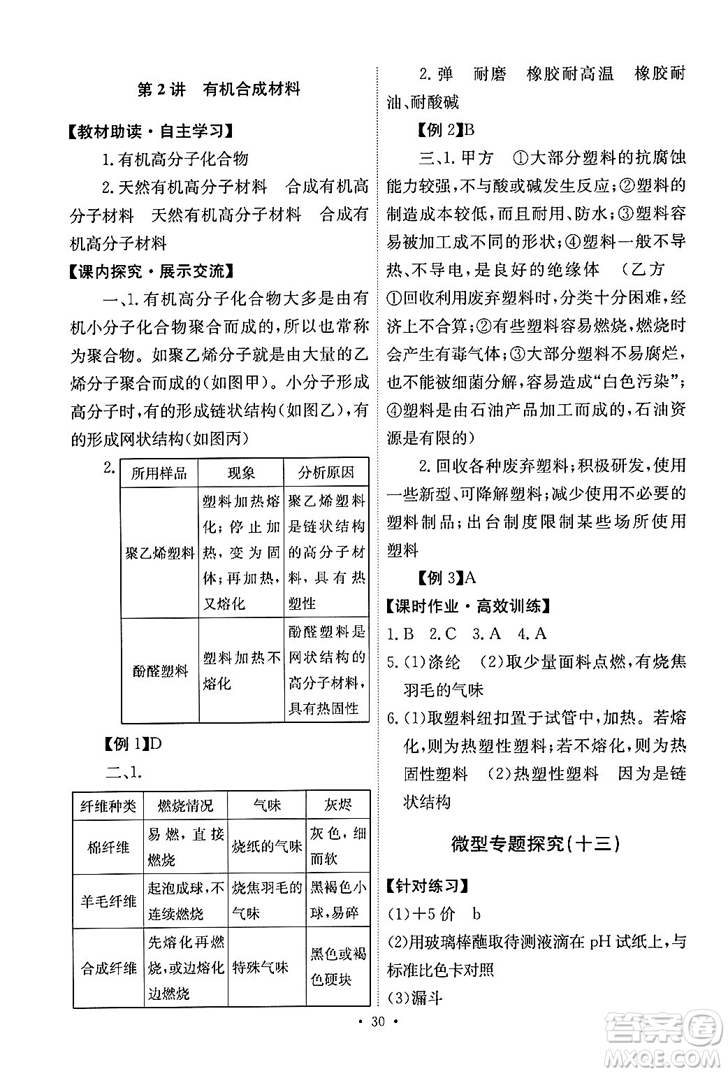 人民教育出版社2024年春能力培養(yǎng)與測(cè)試九年級(jí)化學(xué)下冊(cè)人教版答案